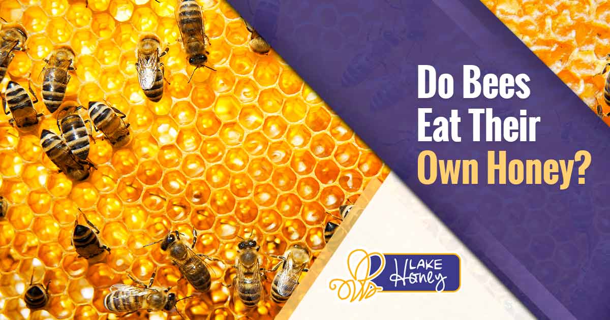 Do Bees Eat Their Own Honey?