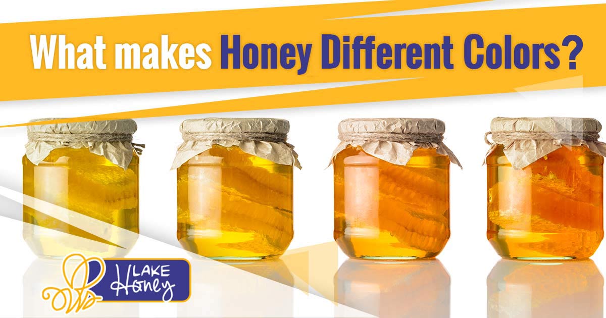 What Makes Honey Different Colors?